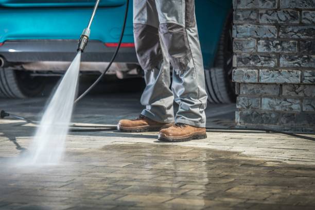 Best Fleet Vehicle Washing  in Red Lake, MN